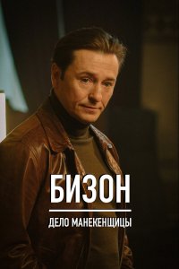  Бизон: Дело манекенщицы 1 сезон 1-14 серия 