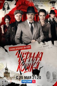  Чёрная кошка 1 сезон 1-16 серия 